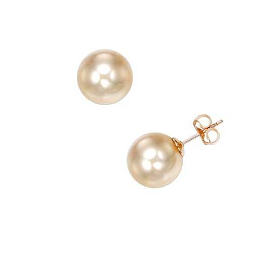 Misaki Пусеты ECHAMPAGNA BR/G в Pull and Bear