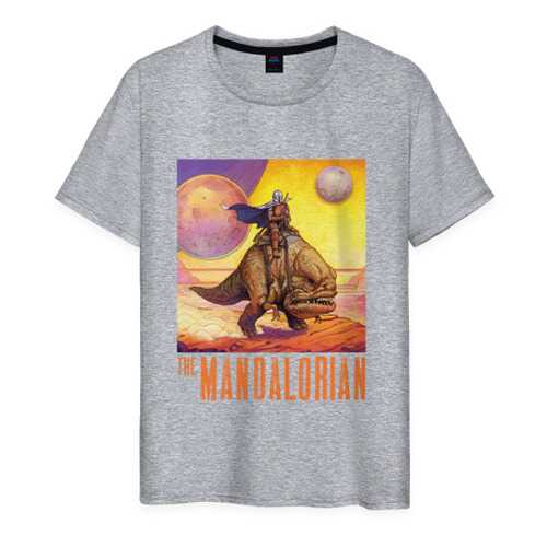 Футболка мужская ВсеМайки 2177863 серая S в Pull and Bear